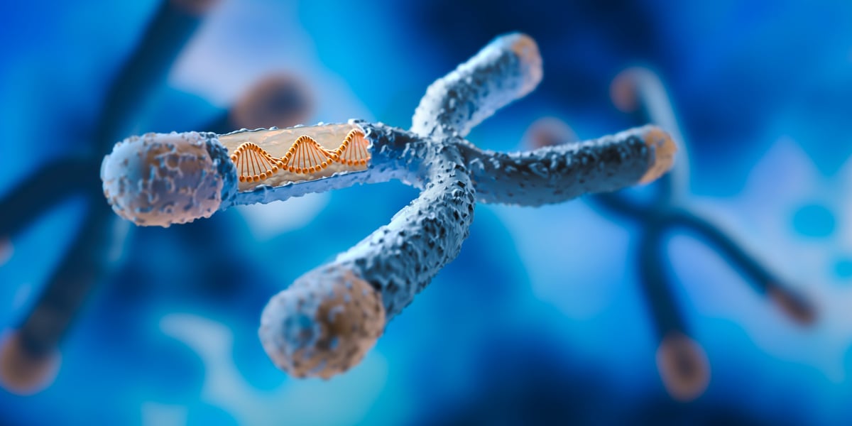 X Chromosome with DNA strand inside with blue background - medical science and biotechnology background - 3d illustration